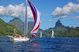 Click image for larger version

Name:	Calou_Moorea_web.jpg
Views:	589
Size:	147.0 KB
ID:	58038