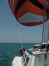 Click image for larger version

Name:	Miami spinnaker.JPG
Views:	629
Size:	148.9 KB
ID:	5831