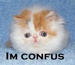 Click image for larger version

Name:	confused-cat.jpg
Views:	92
Size:	61.8 KB
ID:	60063