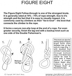 Click image for larger version

Name:	Figure Eight knot.jpg
Views:	306
Size:	50.0 KB
ID:	60268