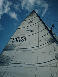 Click image for larger version

Name:	Sailing 5 - 2006.jpg
Views:	144
Size:	411.0 KB
ID:	61002
