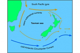 Click image for larger version

Name:	NZ ocean currents.jpg
Views:	331
Size:	159.7 KB
ID:	65099