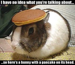 Click image for larger version

Name:	pancake_bunny.jpg
Views:	272
Size:	47.5 KB
ID:	65780