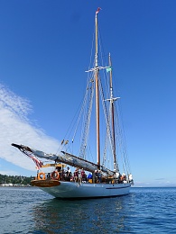 Click image for larger version

Name:	P.T. Boat Fest 065.jpg
Views:	215
Size:	411.5 KB
ID:	66710