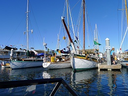 Click image for larger version

Name:	P.T. Boat Fest 174.jpg
Views:	359
Size:	431.5 KB
ID:	66714