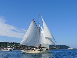 Click image for larger version

Name:	P.T. Boat Fest 100.jpg
Views:	148
Size:	403.5 KB
ID:	66727