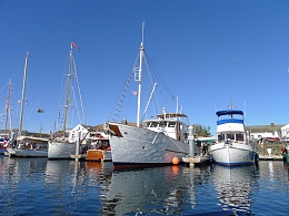 Click image for larger version

Name:	P.T. Boat Fest 177.jpg
Views:	428
Size:	418.6 KB
ID:	66737