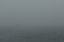 Click image for larger version

Name:	This is fog.JPG
Views:	713
Size:	127.1 KB
ID:	67227