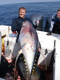 Click image for larger version

Name:	tuna.jpg
Views:	293
Size:	84.8 KB
ID:	68534