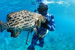 Click image for larger version

Name:	grouper.jpg
Views:	524
Size:	86.6 KB
ID:	68536