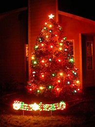 Click image for larger version

Name:	xmastreeB.JPG
Views:	371
Size:	87.9 KB
ID:	694