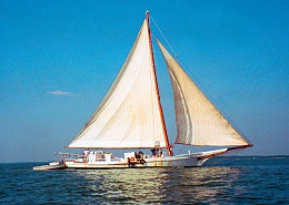 Click image for larger version

Name:	Skipjack with yawl boat.jpg
Views:	409
Size:	325.6 KB
ID:	69802