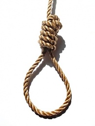 Click image for larger version

Name:	Noose.jpg
Views:	413
Size:	18.1 KB
ID:	71837