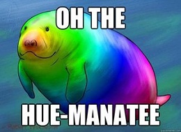 Click image for larger version

Name:	oh the hue manatee.jpg
Views:	664
Size:	16.5 KB
ID:	77091