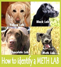 Click image for larger version

Name:	MethLab2.jpg
Views:	176
Size:	63.9 KB
ID:	78774