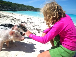 Click image for larger version

Name:	Kids+Pigs.jpg
Views:	738
Size:	118.9 KB
ID:	79220