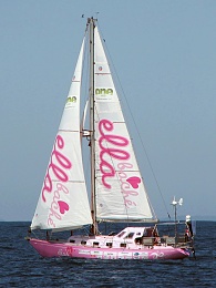Click image for larger version

Name:	Pink_Lady_sailing_(cropped).jpg
Views:	147
Size:	214.3 KB
ID:	79686