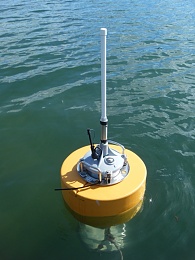 Click image for larger version

Name:	buoy picture.jpg
Views:	844
Size:	365.3 KB
ID:	83530