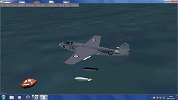 Click image for larger version

Name:	droptank_raft_seahawk.jpg
Views:	185
Size:	116.0 KB
ID:	84212