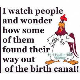 Click image for larger version

Name:	Birth canal.jpg
Views:	337
Size:	78.7 KB
ID:	87259