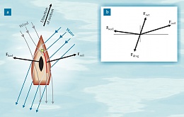 Click image for larger version

Name:	Physics of Sailing - Forces  Fig1.jpg
Views:	346
Size:	39.9 KB
ID:	8728