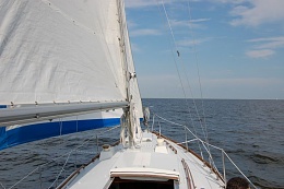 Click image for larger version

Name:	Undersail.jpg
Views:	230
Size:	120.8 KB
ID:	8765