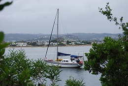 Click image for larger version

Name:	Dec 2012 - knysna 332.jpg
Views:	561
Size:	403.3 KB
ID:	87915