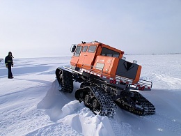 Click image for larger version

Name:	Snow Cat.JPG
Views:	599
Size:	40.5 KB
ID:	88891