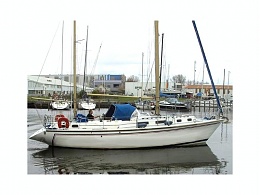 Click image for larger version

Name:	Westerly Conway 36CC motoring.jpg
Views:	337
Size:	49.8 KB
ID:	91354