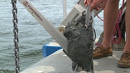 Click image for larger version

Name:	Chesapeake Bay FX-16.jpg
Views:	133
Size:	445.2 KB
ID:	92269