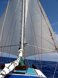 Click image for larger version

Name:	sail1.jpg
Views:	610
Size:	143.6 KB
ID:	92359