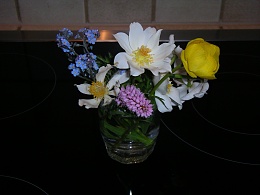 Click image for larger version

Name:	pre A flowers.jpg
Views:	183
Size:	348.8 KB
ID:	93428