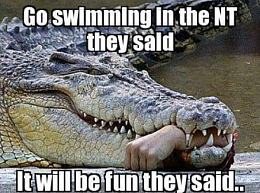 Click image for larger version

Name:	Croc.png
Views:	543
Size:	275.2 KB
ID:	94156