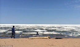 Click image for larger version

Name:	Lake Superior Ice in May photo A.jpg
Views:	395
Size:	29.7 KB
ID:	96029