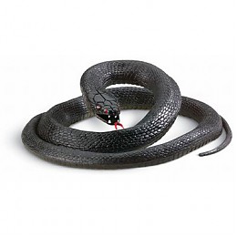 Click image for larger version

Name:	snake.jpg
Views:	475
Size:	18.2 KB
ID:	980