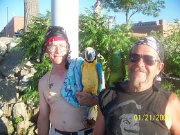 Click image for larger version

Name:	PIRATE LOU AND PARROTS.jpg
Views:	289
Size:	150.7 KB
ID:	99016