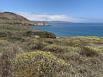 Southeast anchorage, Becher's Bay, Santa Rosa Island, looking northwest. August 2023.