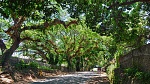 The road to Bais, Negros Oriental, Philippines