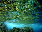 Mike had a better camera than I did by far.  He took this shot of the reef near Norman Island.