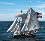 Amazing Grace. 
 
This photo has an interesting history. It was taken off San Diego from aloft in the rig of Star of India, by the granddaughter of...