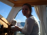 The bear at the helm