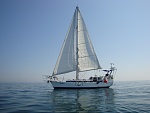 MONICA under sail