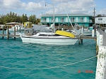 Bahamas Feb Mar 2009 003 
 
Weech's Dock Bimini