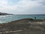 The ledges on the north side of Santa Rosa island have many tide pools. View looking west toward San Miguel island.