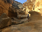 Lobo Canyon, Santa Rosa Island.