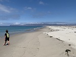 Beach heading to Skunk Point on Santa Rosa Island. Santa Cruz Island in the distance. West point and Forney's Cove to the left on Santa Cruz.