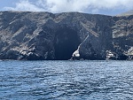 Enormous unnamed amphitheater carved from the volcanic rock cliff near Painted Cave, north side of Santa Cruz Island. I estimate it 90 feet high.