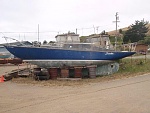 01 Scimitar at Tomales Bay, March 2013