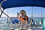 First mate "Amadeus"