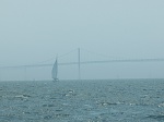 Newport Bridge on a foghorn kinda day